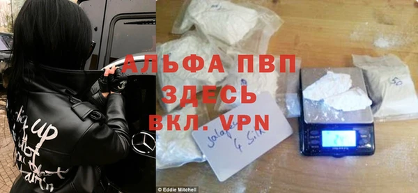 стаф Белокуриха