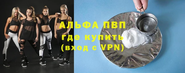 стаф Белокуриха