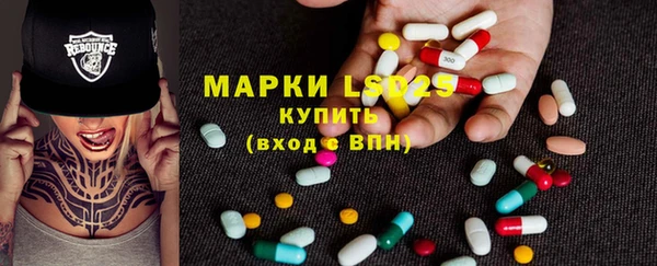 стаф Белокуриха