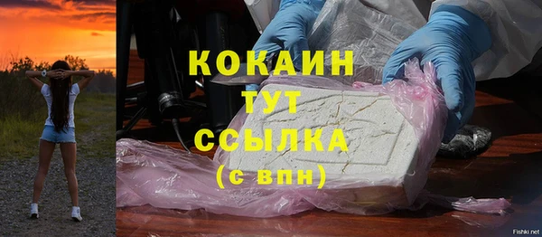 стаф Белокуриха